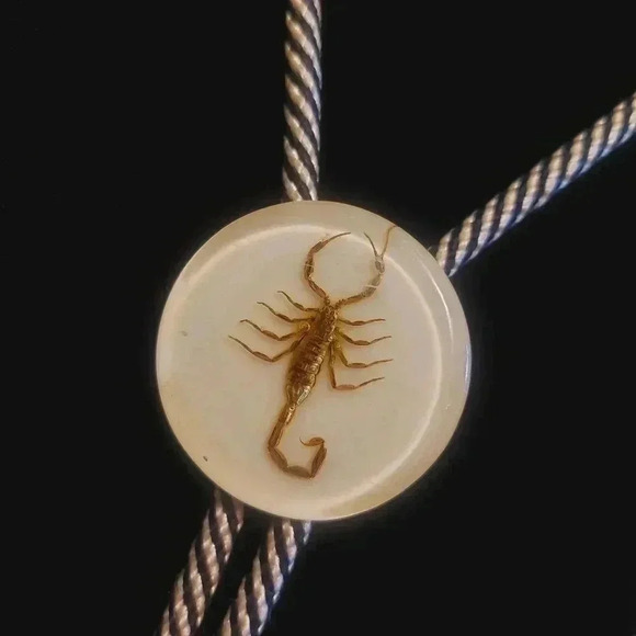 Real Scorpion Bolo Tie Acrylic Lucite Round Black White Cord Western - Picture 3 of 7